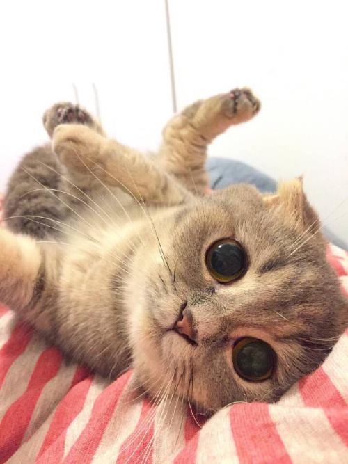 Öз½ÖÊÎÊÅîÅå°Â:ÄãΪÍì¾ÈÃÀÈËÃñÉúÃü×öÁËʲô