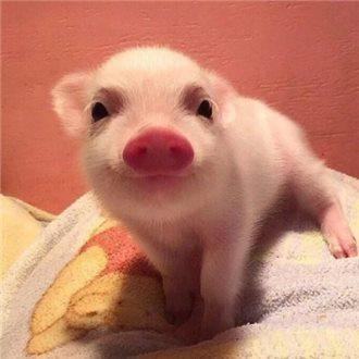 ¿Æ¼¼²¿£º¿Æ¼¼»î¶¯ÆÀÉó£¬ÇëÍÐÐÐΪ±ØÐëÑÏËà³Í´¦£¡