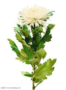 2025Äê¡°È«¹úÍøÂçÆÕ·¨ÐС¤±±¾©Õ¾¡±ôßÊÕ¹Ù×ܽá»î¶¯ÔÚ¾©Æô¶¯