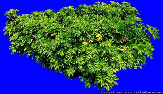 ±±¾©ÒàׯµØ±ê¼¯Ìå¡°¿Õ½µ¡±ÍõÕßÏ¿¹È£¡