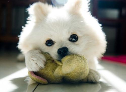 ±¼ÔÂ̽º£ÖðÃΡ¡¹úÆó´´ÐÂͻΧ ´ó¹úÖØÆ÷ÕÃÏÔʵÁ¦