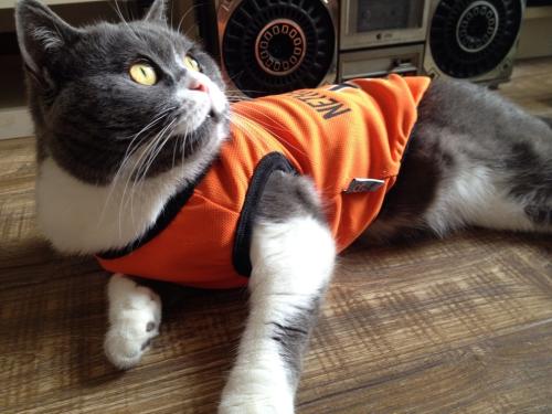 ¶àµØ½«¿ªÆô¡°Ì캮µØ¶³¡±Ä£Ê½ ÆÀ£ºÈùذ®¸üůÐÄ