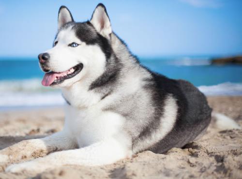 »¦Õã´òͨÊ×ÌõÊ¡½ç¡°¶Ïͷ·¡± ͨÇÚËõ¶Ìµ½3·ÖÖÓ